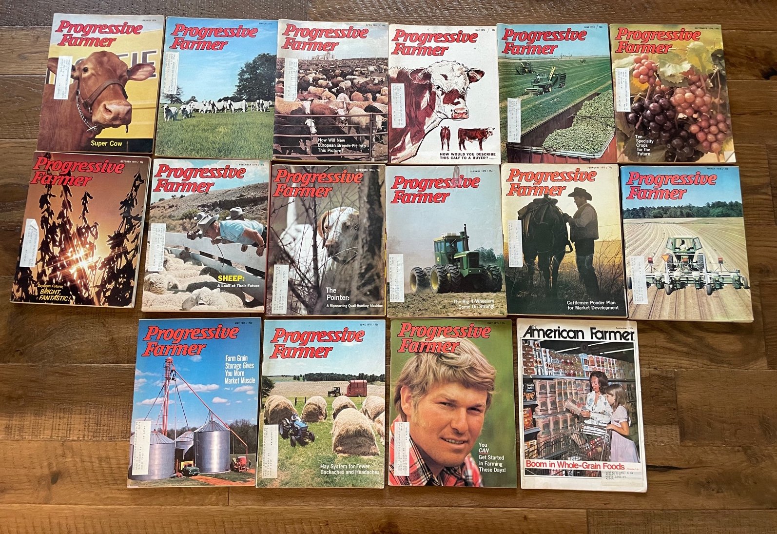 American & Progressive Farmer Magazine Vintage Lot 1974 1975 iC8iKdDGe