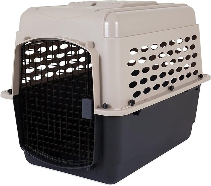 Petmate 32 Inch Airline Approved Crate Lj488IucT