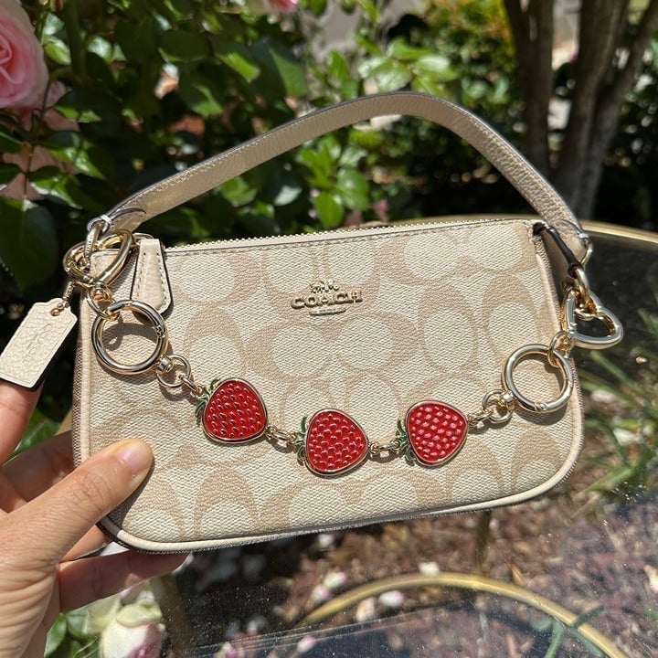 Red Strawberry Metal Bag Chain Novelty Bag Strap For Coach Nolita 19，10.5